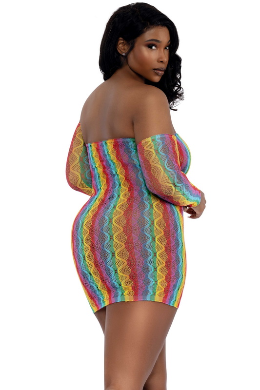 Plus Size Rainbow Fishnet Chemise Set image 1