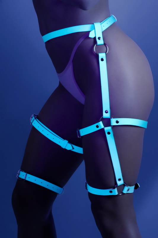 Light Blue Buckle Up Garter Harness image 1