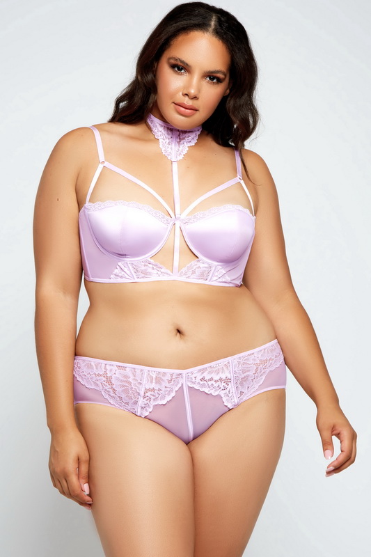 Plus Size Lilac Morning Glory Bra Set