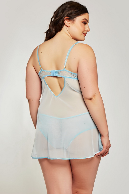 Plus Size Floral Applique & Mesh Babydoll image 1