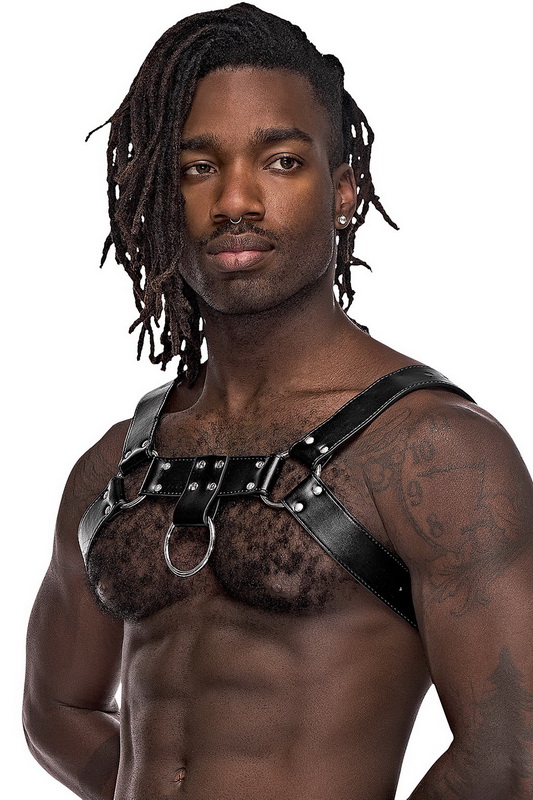 Men's Aries Split Leather Harness image 1