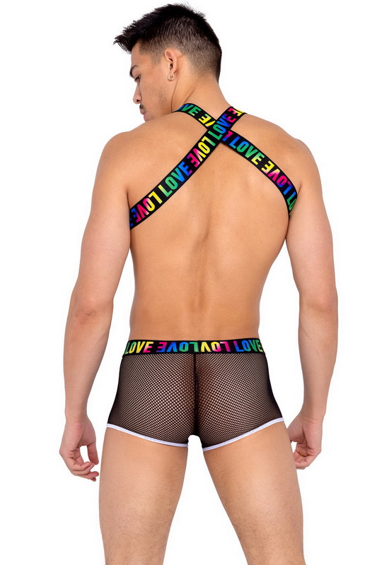 Men's Pride Suspender Harness image 1