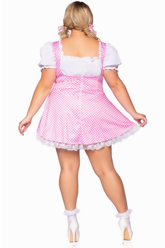Plus Size Gingham Beer Girl Costume Dress image 1