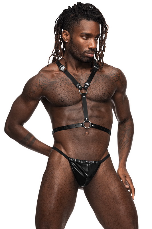Men's Sagittarius Winged Leather Harness image 1