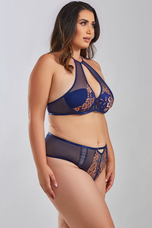 Plus Size Navy High Waist Hater Bra Set image 1