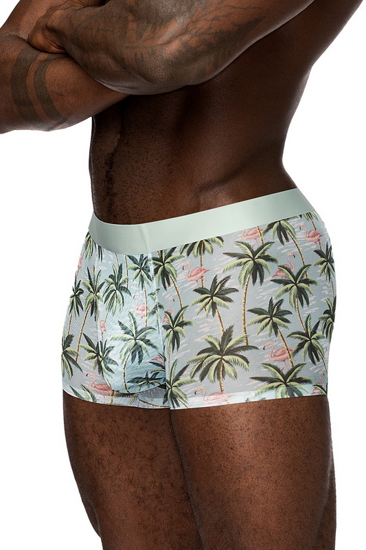 Men's Flamingo Sheer Short image 1