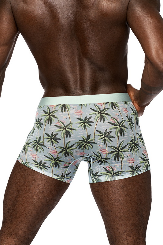 Men's Flamingo Sheer Short image 2
