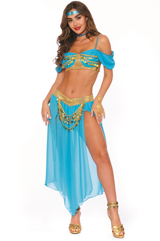 Genie's Delight Halloween Costume