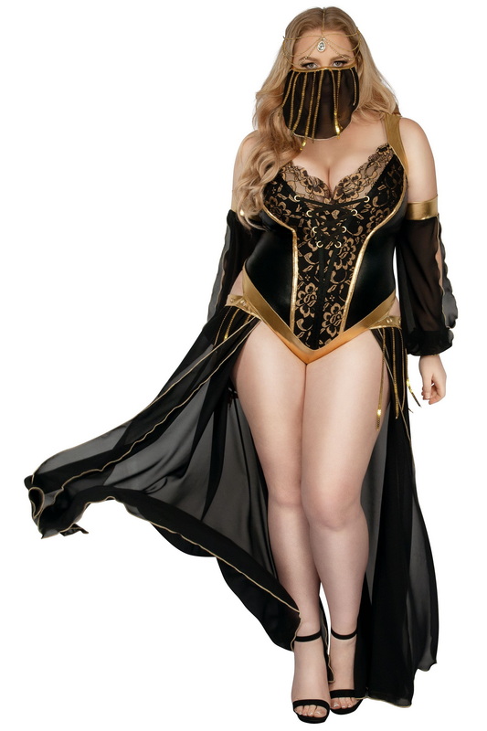 Plus Size Dark Harem Nights Halloween Costume image 3