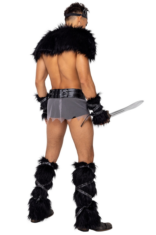 Men's Viking Hunk Halloween Costume image 1
