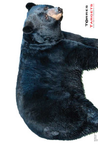 Black Bear Paper Shooting Target Black Bear Paper Shooting Target