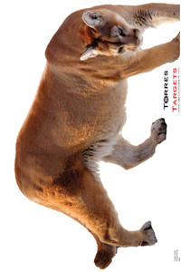 Cougar Paper Shooting Target Cougar Paper Shooting Target