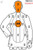 B21 Silhouette Paper Shooting Target Orange B21 Silhouette Paper Shooting Target Orange