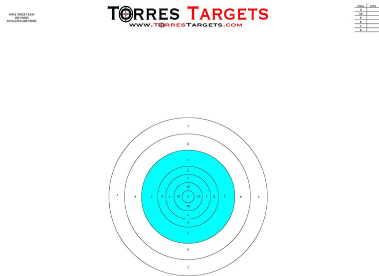 MR31 Style Bullseye Paper Shooting Target - Blue