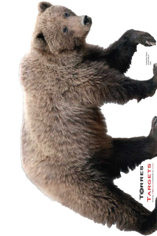 Grizzly Bear Paper Shooting Target