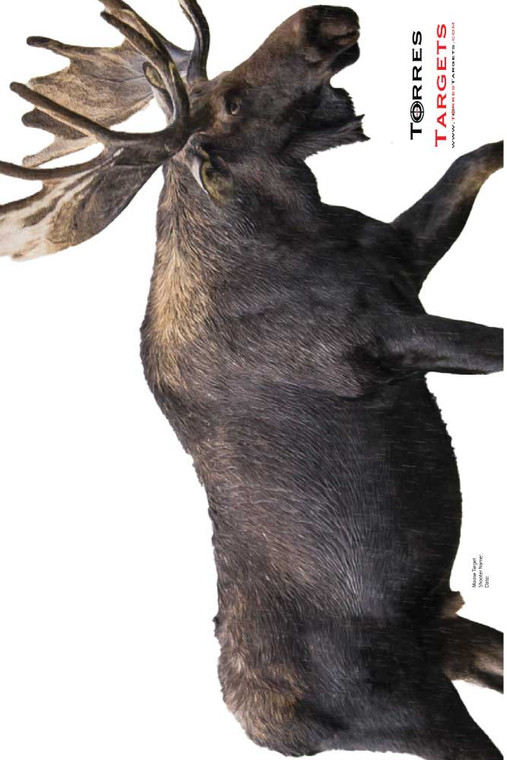 Moose Paper Shooting Target