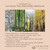 Fukamushi Sencha Hou-un by Kawahara Seicha is a part of the Japanese Tea travelers program