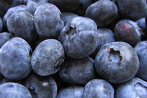 Blueberries, Organic, FROZEN, 30lbs