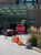 Flashing Stop Sign outside shopping center Flashing Stop Sign outside shopping center