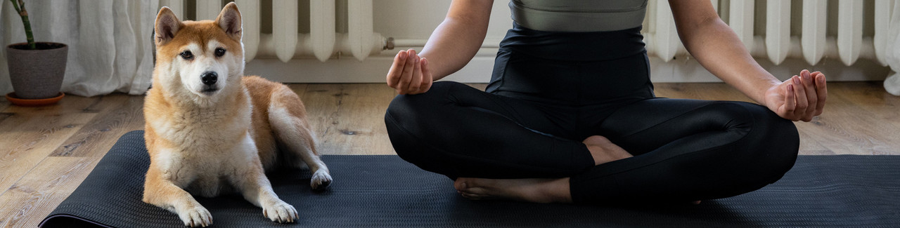 Natural Touch Health and Wellness