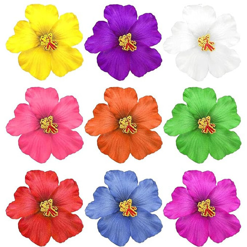 2602 hibiscus flower