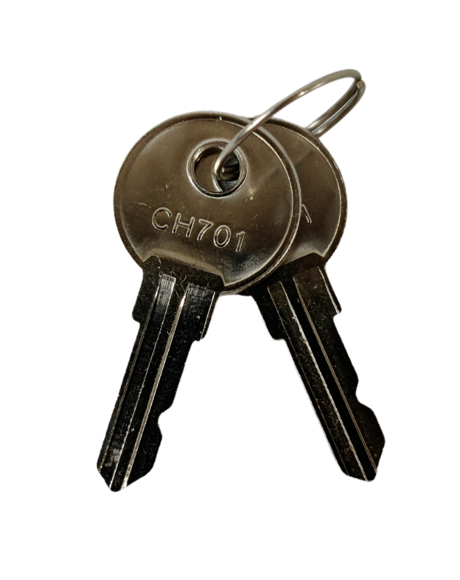 Pair of CH701 Keys RV Camper Trailer Hatch Door Lock CH 701 Key