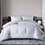 King Size All Seasons Soft White Polyester Down Alternative Comforter Q280-KIFG6066