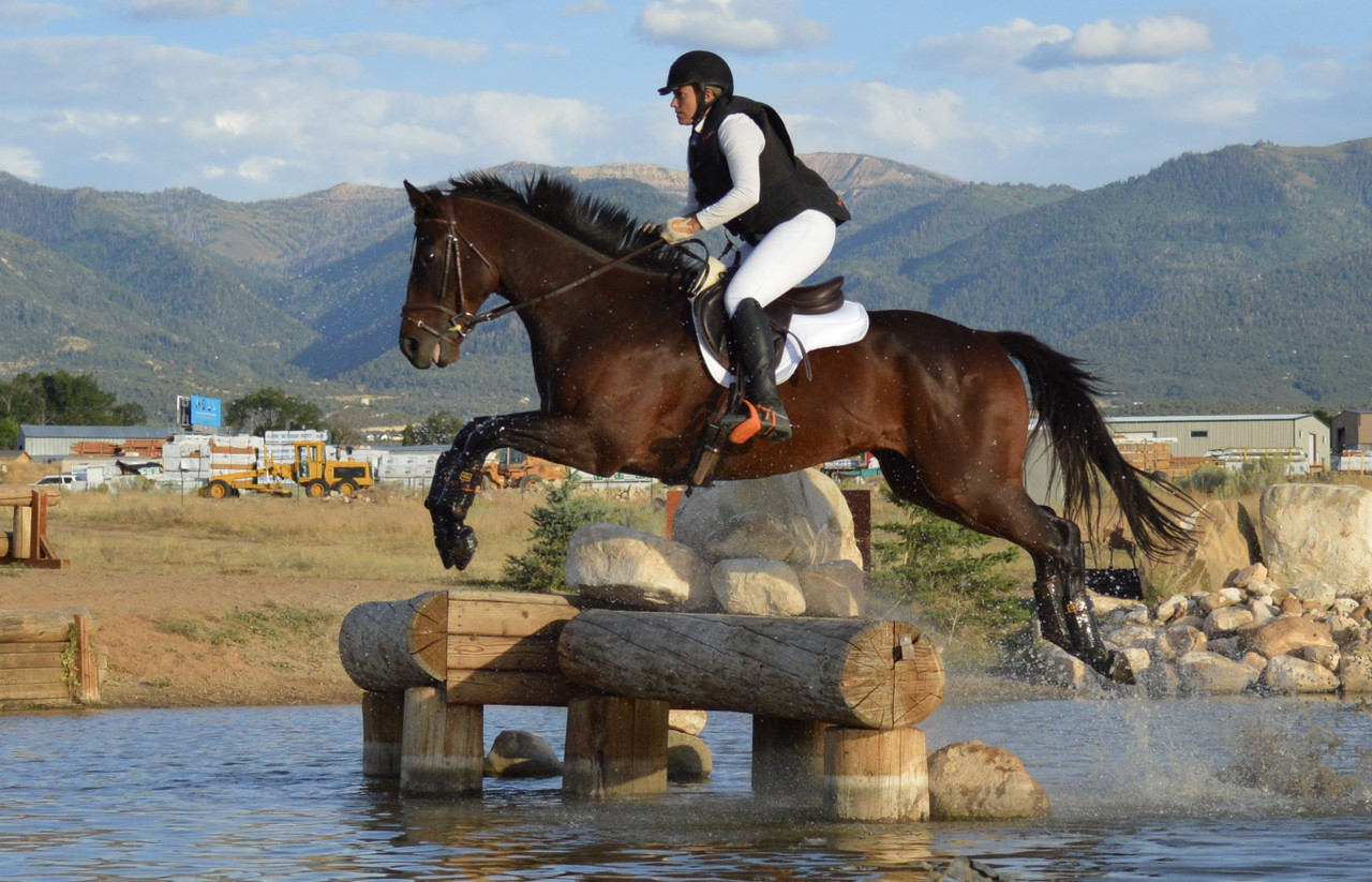 English Saddle Pads