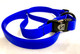 Jemelli Neck Strap in Royal Blue