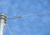 .478 in. to .494 in. FIBERLIGN 29 in. Dead-End OPGW PLP 2801306