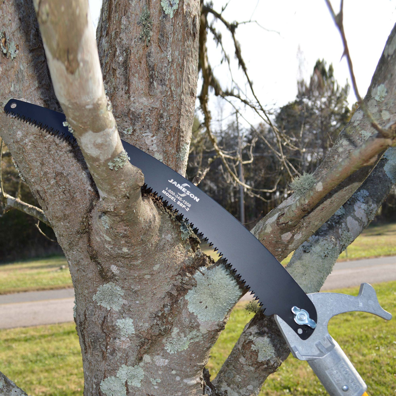 Tree trimming pole saw shop blade