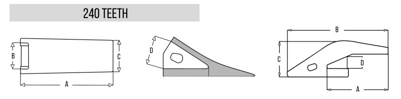 240-teeth-diagram.jpg