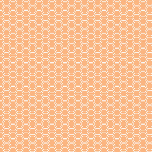 8256-O