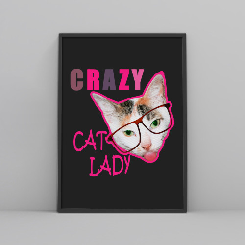 Crazy Cat Lady Posters