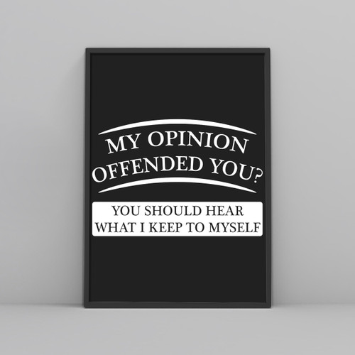 My Opinion Offended You Posters