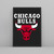 Chicago Bulls Logo Posters