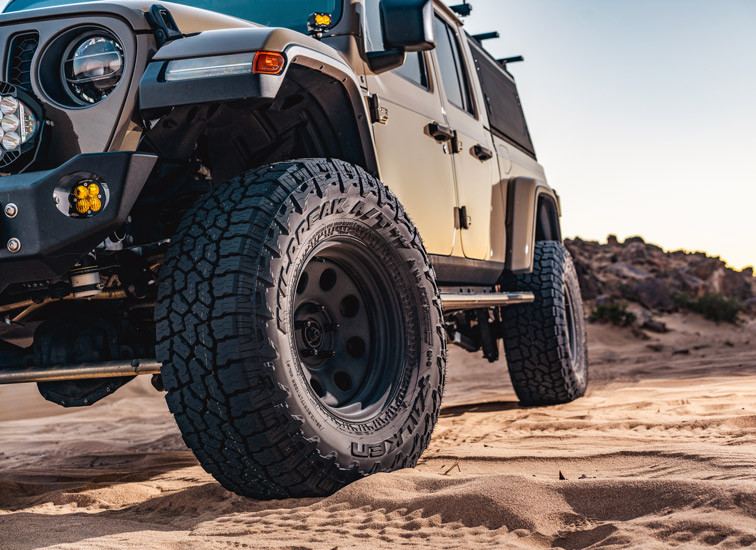 Wildpeak A/T4W 265/70R16 Tire | NTW Online