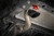 Muffler Delete Kit 2.3, 2.7L Engines Ford Bronco (21-23)