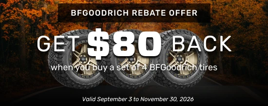 NTW: Get up to $100 Back via online rebate with select sets of  Mickey Thompson Tires