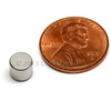 1/4 x 0.2 Inch Rare Earth Magnet