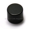 Neodymium Magnets Epoxy Coated N52 Neodymium Cylindrical Magnet Dia 1/4"x0.2" Epoxy Coated
