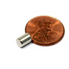 neodymium magnet disk grade N52