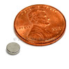 Rare Earth disc Magnets