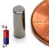 N52 neodymium cylinder magnet 1/8x3/8 2 LB pull high-grade small rare earth magnet for versatile use