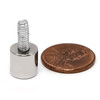 rare earth magnet assemblies