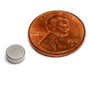 Little strong magnets N42 neodymium disc 1/4" x 1/10" nickel coated for crafts and DIY projects side angle