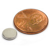 Neodymium Disc Magnets