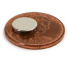 Neodymium Disc Magnets