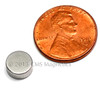 Small strong neodymium magnet N42 NdFeB rare earth 5/16 inch diameter for holding & precision use