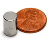 Close-up of N50 Neodymium Cylinder Magnet showing smooth finish